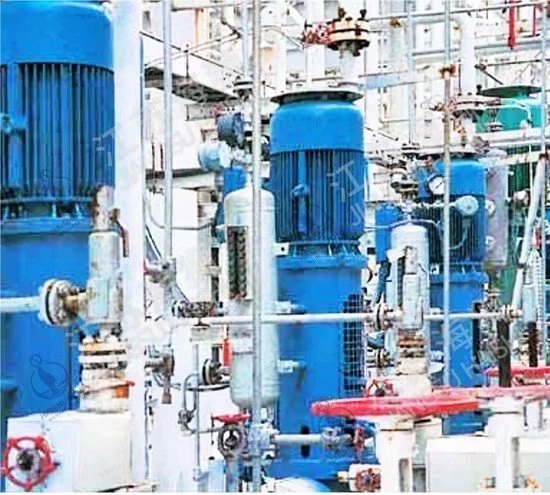 API610 Vs6 Type Vertrical Barrel/Can Centrifugal Pumps price